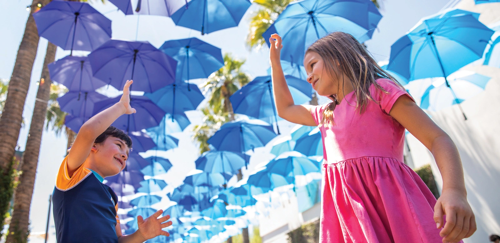 tto umbrellas